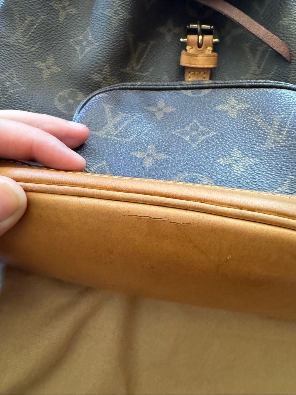 LV Mono Montsouris PM Backpack - Picture 13 of 16